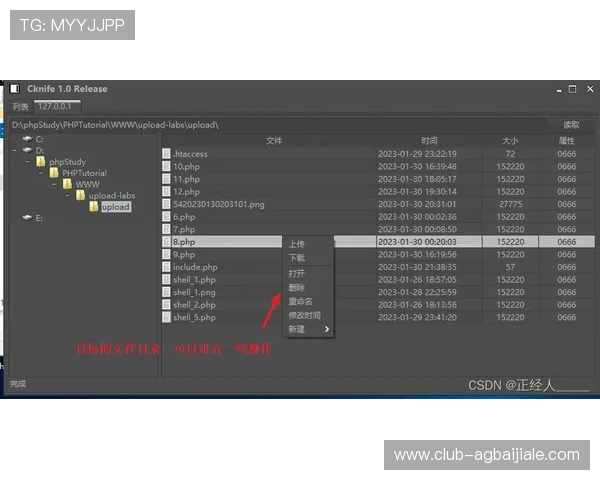 探索火爆ag视讯玩法中的独家秘诀实现稳定获利